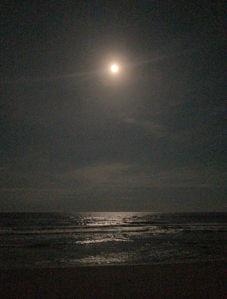 the moon rising over the ocean at night. everything is black. the waves are lit by the light of the moon. the moon itself is resting near the top of the frame. it is small and yellow. there are no clouds