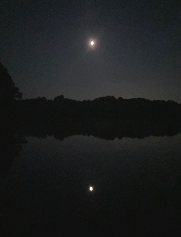 the moon in the night sky above a still body of water. there is a line of black trees against the sky. the trees and the moon are mirrored upside down as a reflection in the water