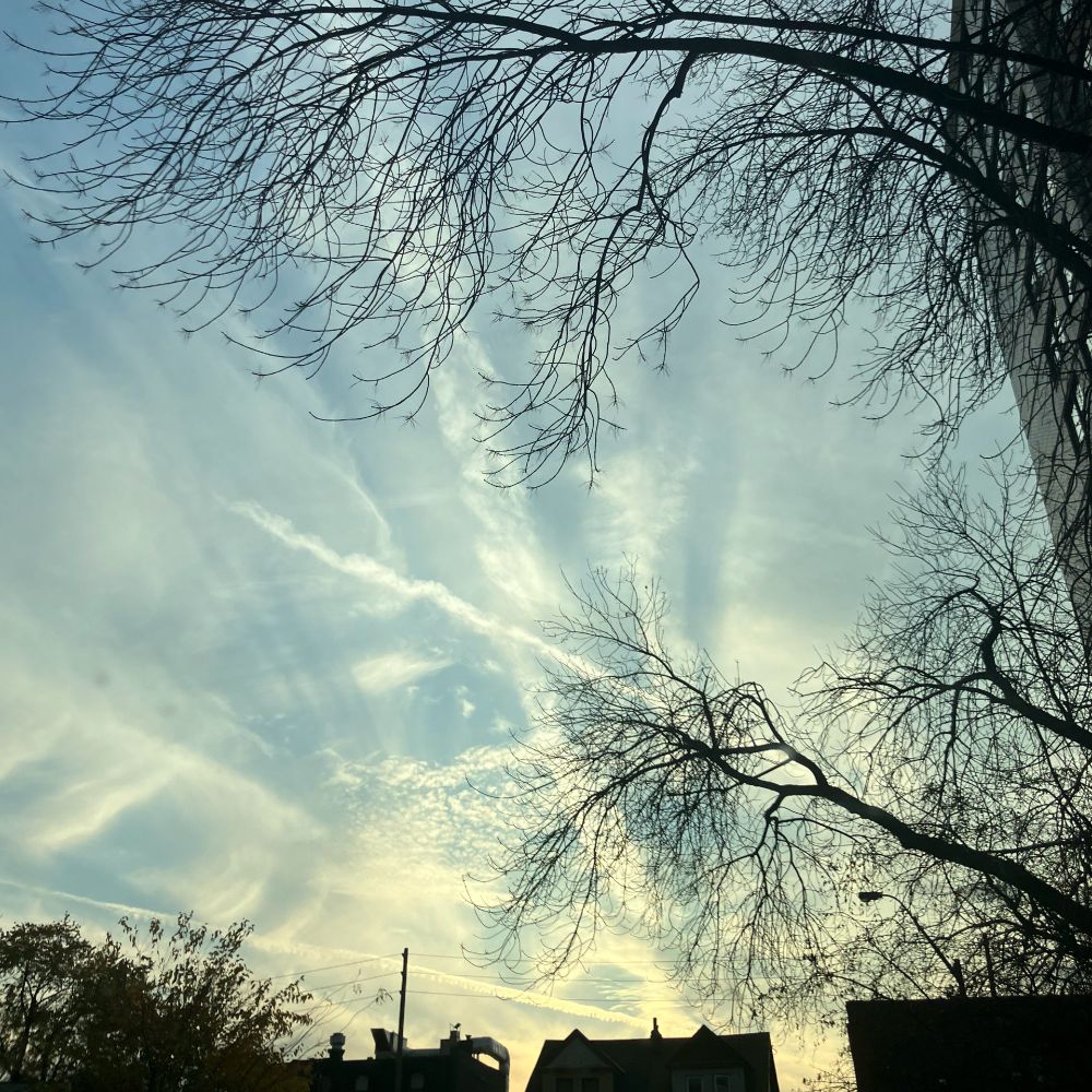 a low-angle photo of a sunset sky. there are white whispy bars of clouds stretched from top to bottom of the frame, and diagonally. there are a few plane contrails running diagonally as well. there are a few silhouetted buildings against a low distant sunset against the bottom of the frame. there are leafless trees on the right side of the frame, and across the top. on the right side there is a tall apartment building barely visible