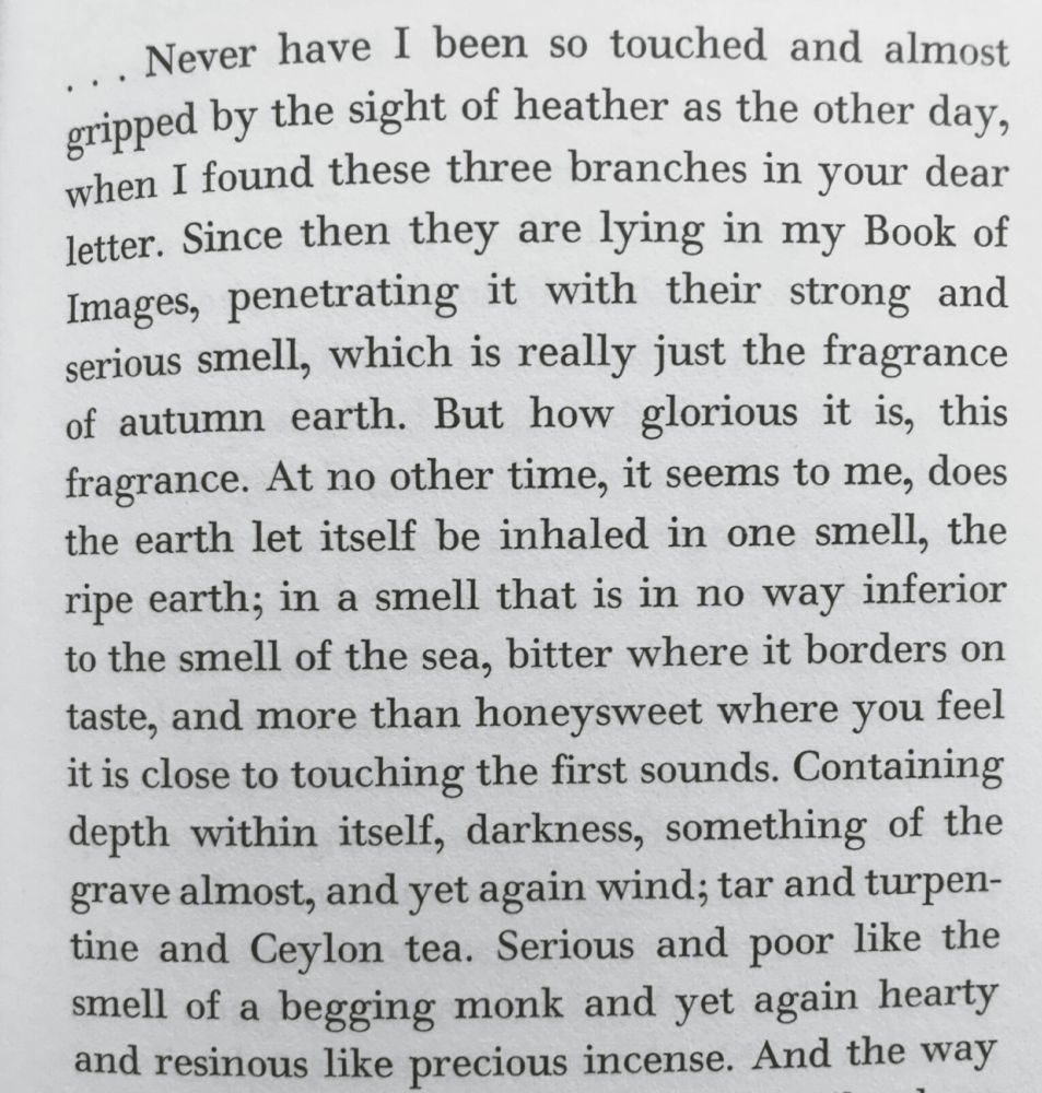 Text:

Never have I been so touched and almost gripped by the sight of heather as the other day, when I found these three branches in your dear letter. Since then they are lying in my Book of Images, penetrating it with their strong and serious smell, which is really just the fragrance of autumn earth. But how glorious it is, this fragrance. At no other time, it seems to me, does the earth let itself be inhaled in one smell, the ripe earth; in a smell that is in no way inferior to the smell of the sea, bitter where it borders on taste, and more than honeysweet where you feel it is close to touching the first sounds. Containing depth within itself, darkness, something of the grave almost, and yet again wind; tar and turpentine and Ceylon tea. Serious and poor like the smell of a begging monk and yet again hearty and resinous like precious incense. And the way ...