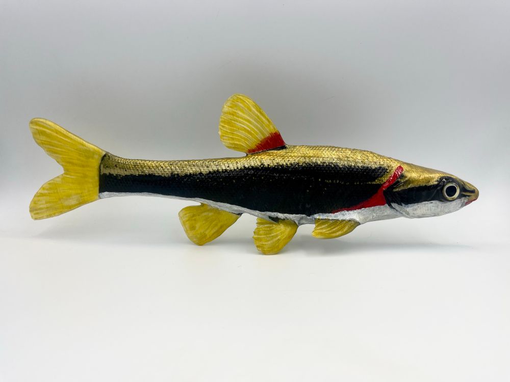 3D printed fish.