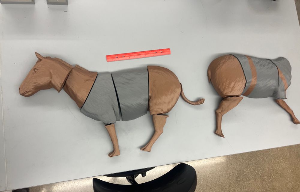 3D printed Hyracotherium in several pieces on a table.