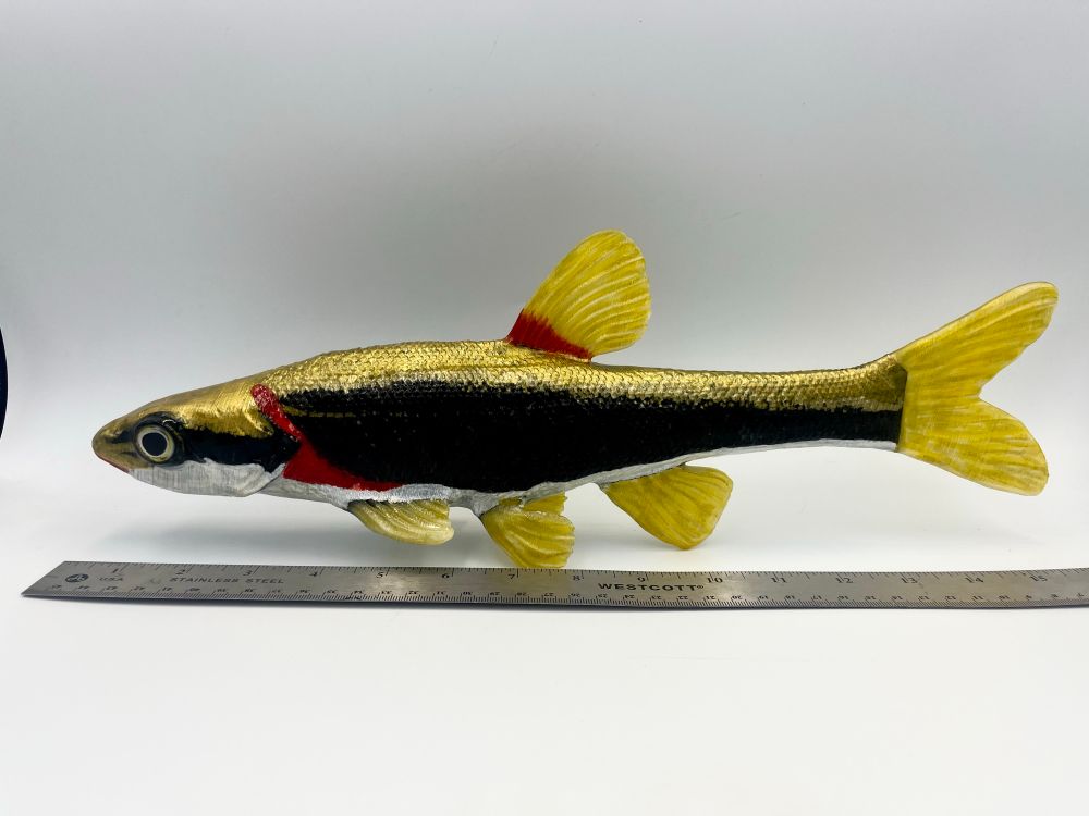 3D printed fish with ruler, showing approximate length at 400mm.