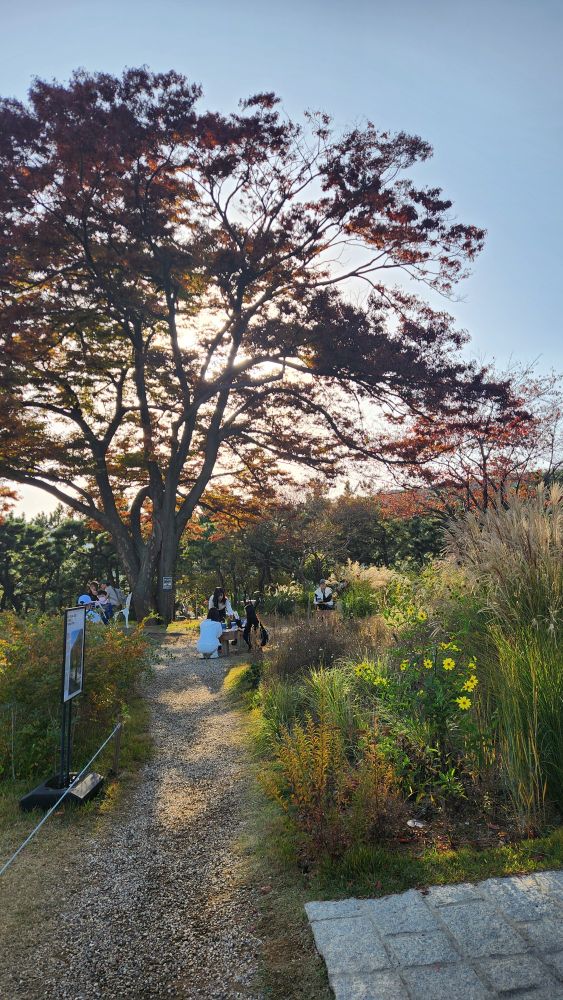 가을분위기의 정원에 사람들이 많이 노닐고있다