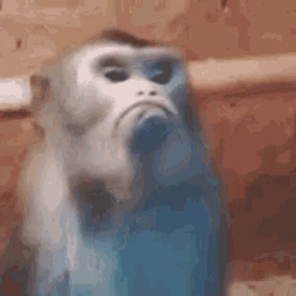 a blue and white monkey with a sad look on its face is sitting on a table .