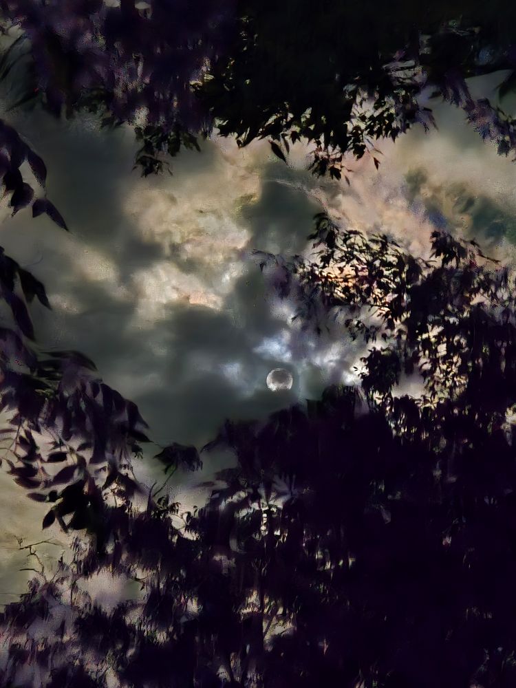 A night photo of the moon. You can see the round shape of the moon, buts its hidden behind clouds. There's an orange glow on the clouds behind the moon. The moon is framed by shadowy trees