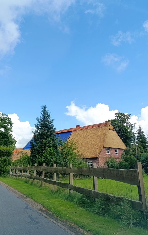 Lower Saxony Zweiständerhaus getting new thatch on the roof.