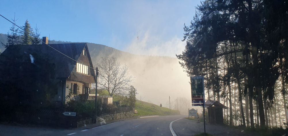 A German house in the Black Forest, surrounded by tall pine trees on the side of the road. A cloud is blowing in the background, giving the puxture a fairytale-esque appeal