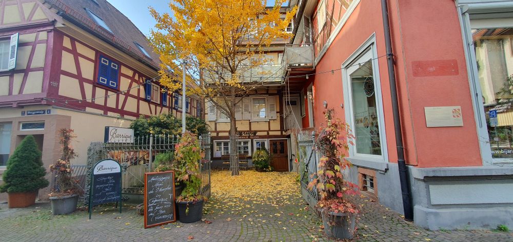 A weinstube, which is a German type of café,  tucked in between old German houses and a large tree in the middle of its terrace, its leaves are golden yellow and they've been falling off due to fall, covering the terrace