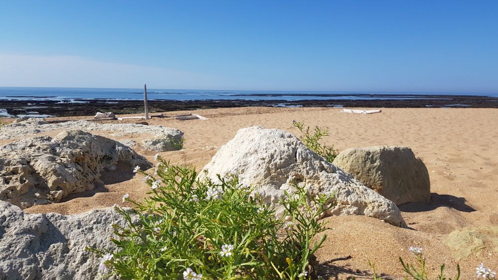 Plage à la Costiniere, île d'Oléron