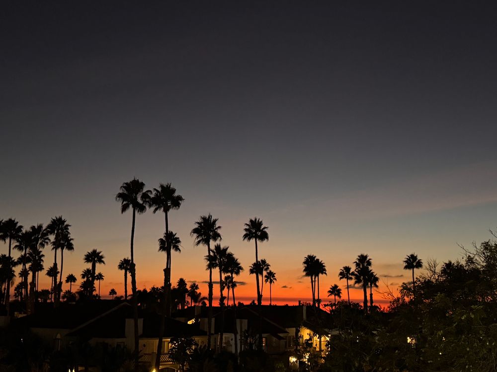 A deep orange sunset just above the horizon, dark skies above, with tall palm trees in the distance. 