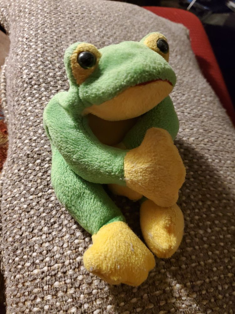 Beanie baby froggie named Smoochy awaiting his inflatable comrads