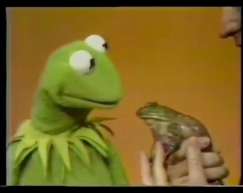 Kermit stares at his own reflection, and bares witness to his own base, animal being 