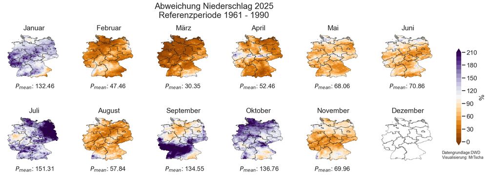 Monatliche Abweichungen des Niederschlags vom langjährigen Mittel 1961 - 1990 für das Jahr 2025, wobei jeder Monat als einzelne deutschlandweite Karte dargestellt ist.