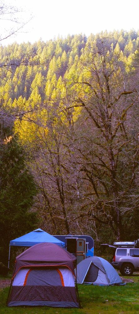 A photo of a campsite in the woods, with tents and an old trailer in the shade at the bottom of the image in the fore and mid-ground, with a large, sun-lit hillside covered in forest in the background.