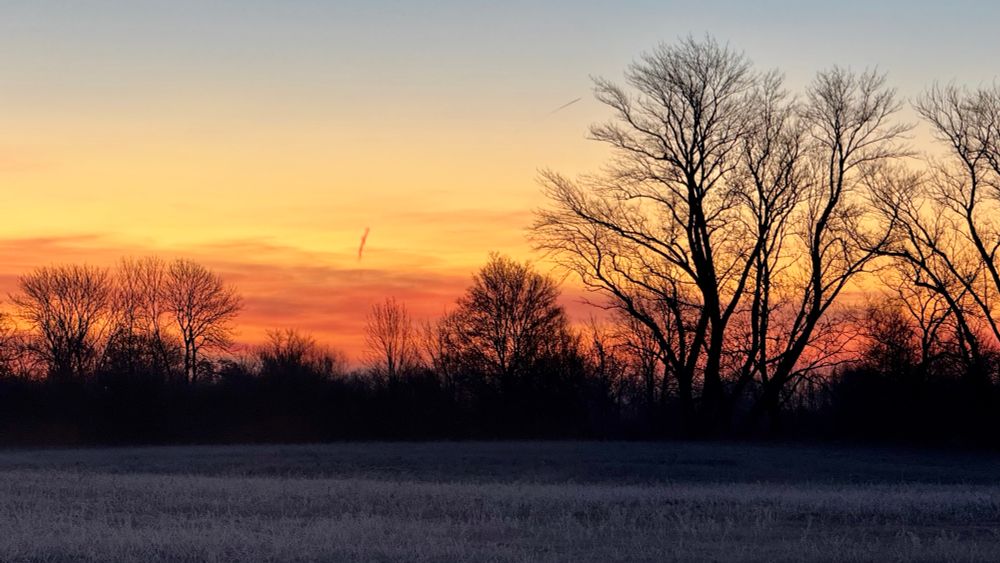 Rot-orange-gelber Sonnenaufgang mit Bäumen und Sträuchern als Silhouette davor
