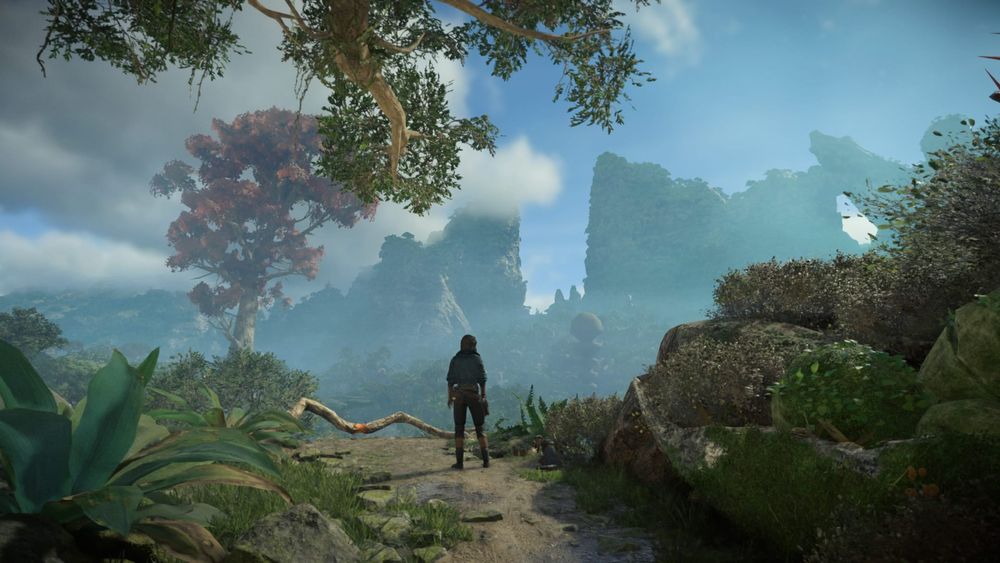 Star Wars Outlaws screenshot. It shows Kay Vess standing looking out over a forest planet.