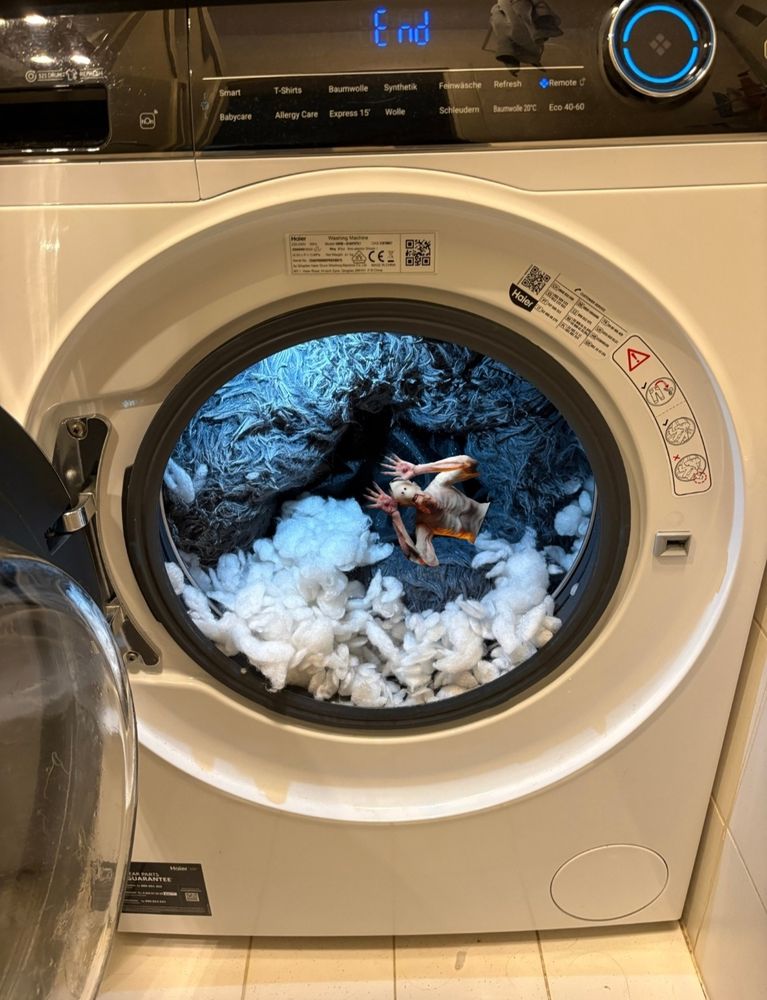 Waschmaschine und aus einer Ecke guckt der Pale Man aus Pans Labyrinth