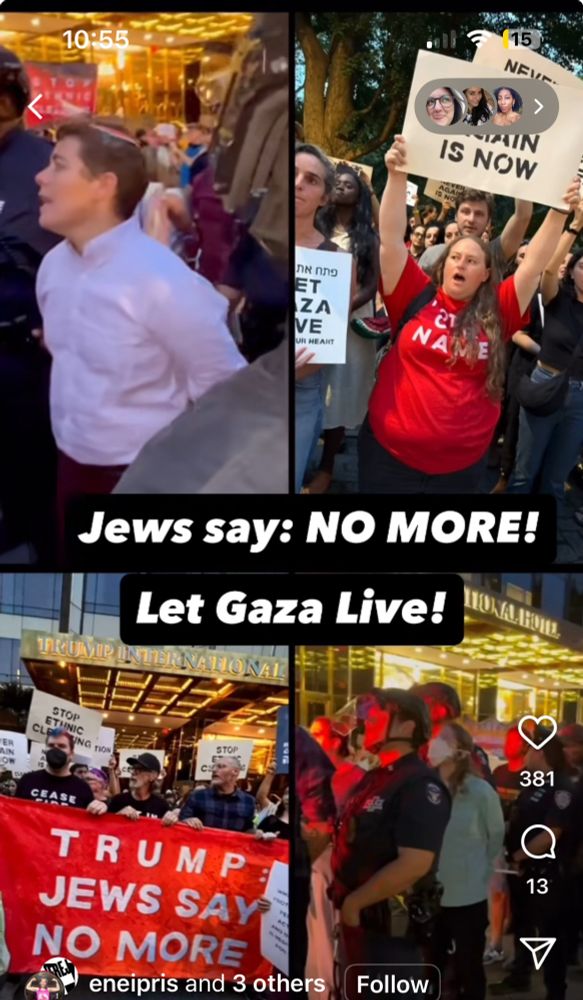 Monotone of photos from the action - white guy in kippah getting arrested, person with red shirt and sign, people with sign that says JEWS SAY NO MORE, and blurry photo
