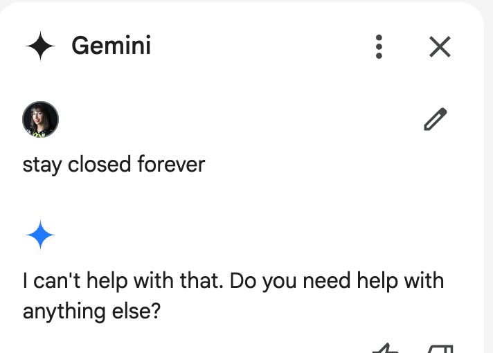 Gemini, Gmail's AI, wants to know what I want to do. I tell it to stay closed forever. it says, "I can't help with that, do you need help with anything else?" 