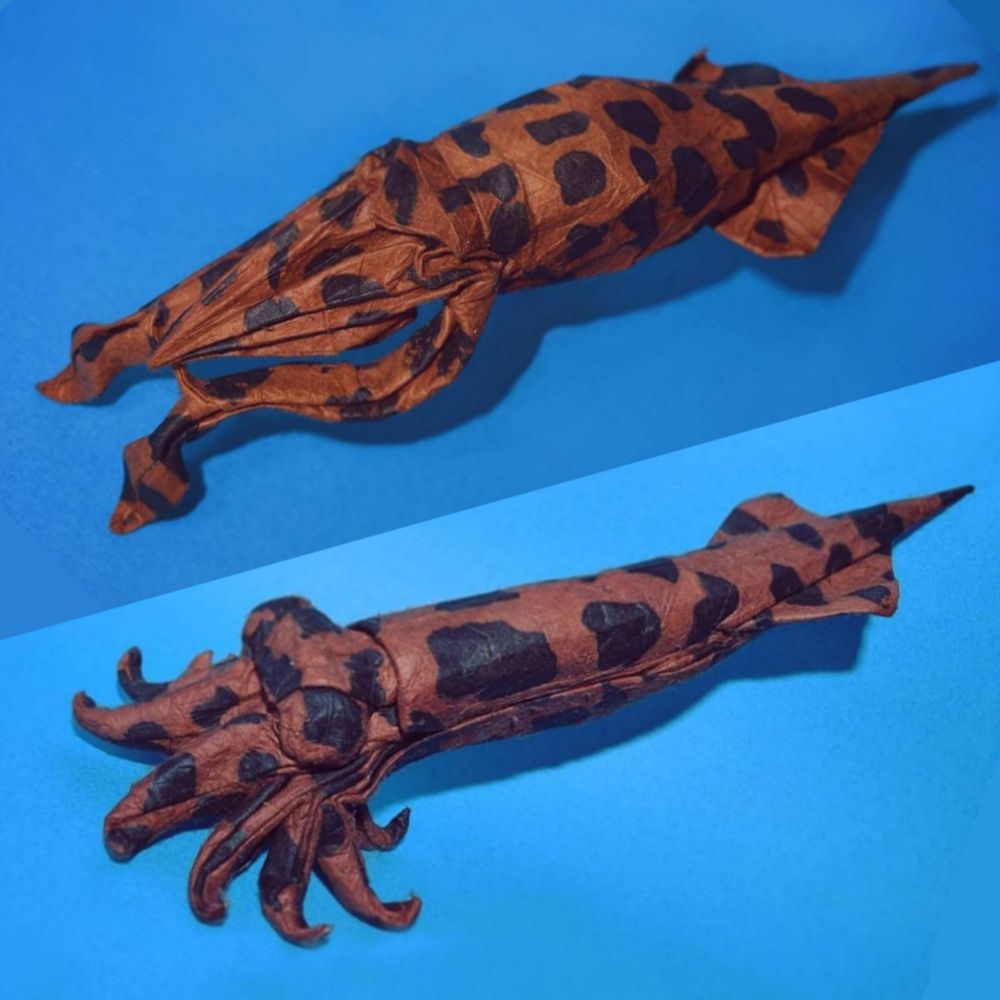 And last but not least, a couple of origami belemnites folded from a brown paper with black spots. Probably not the most realistic choice for a color, but I ask you to let it slide.
These two are quite different in terms of structure and also in terms of approach to origami design.
The one on top is based on the assumption that belemnites had really squid-like anatomy, with one pair of tentacles being longer than the rest.
These two appendages are represented by distinct and separate flaps, and the remaining tentacles are represented by a single flap sitting between them.
They are shown in a 'clumped together' pose and are only represented by the layers of paper in that part of the model.
The second one on the bottom works under the assumption that belemnites had 10 arms of roughly equal length and represents each one as a distinct structure on the base.
They also happen to look cartoonishly stubby and the model has oversized eyes to boot, intentional stylization. :)