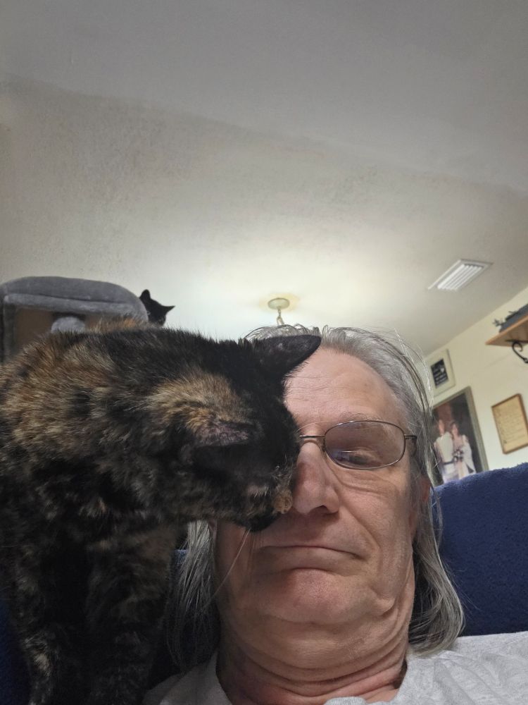 Tortoiseshell cat on a man's shoulder 