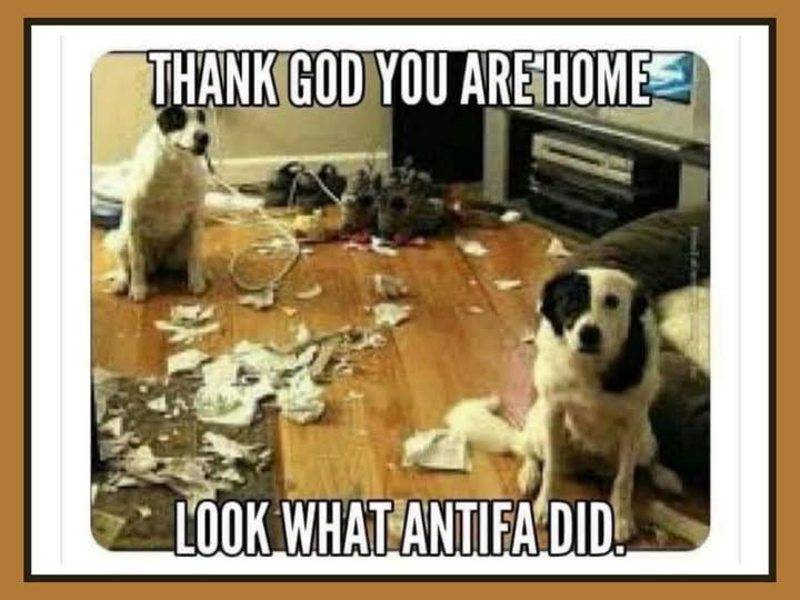 dogs sitting in a trashed room:

"thank god you are home, look what antifa did"