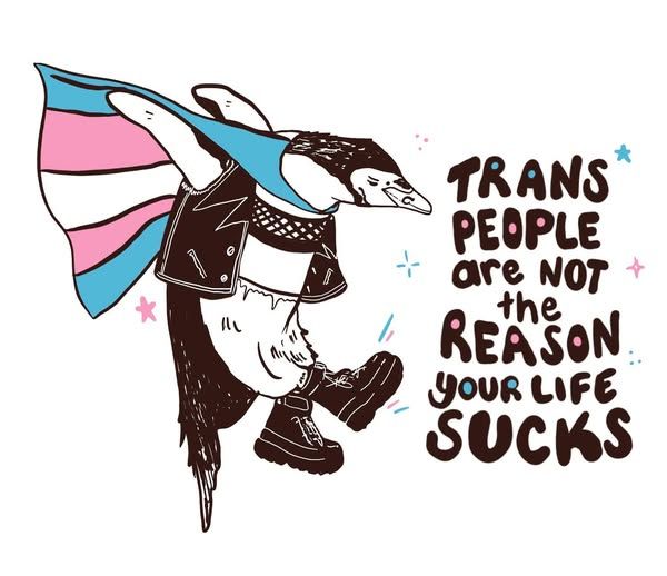 Digital illustration of a punk looking penguin with a trans flag. Text reads, ‘trans people are not the reason your life sucks.’