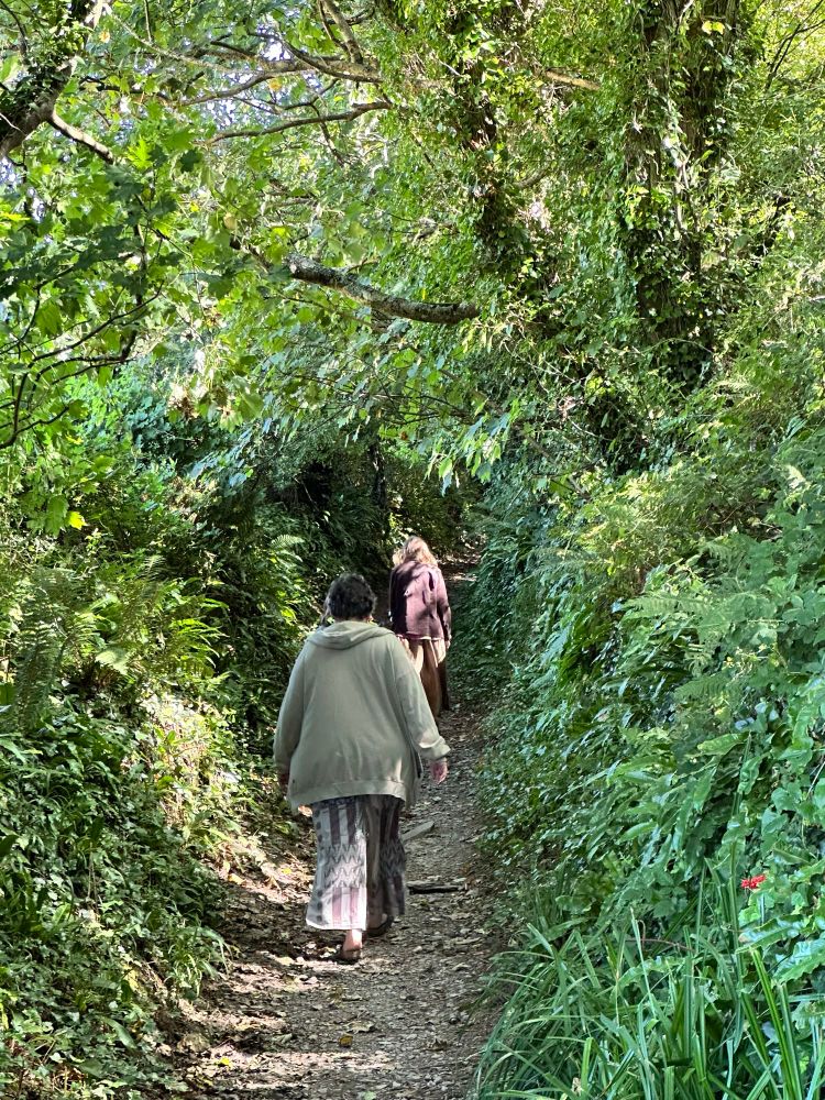 People walking on overgrown forest trail