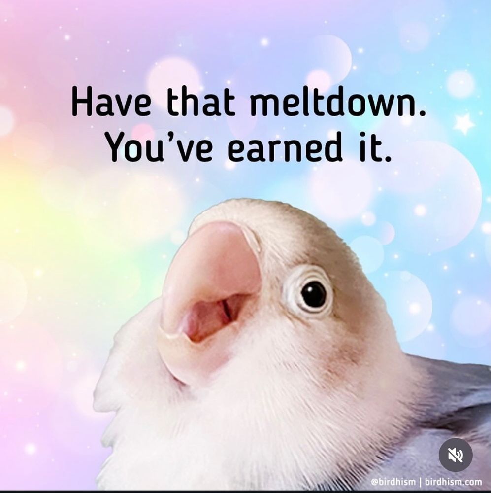 a little cute bird reassuring you can have that meltdown, as you've earned it! 