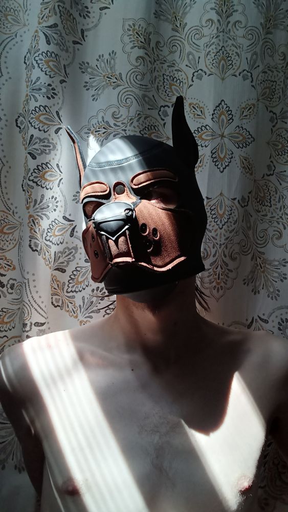 Yop gazes up and out the window, sunlight striping down their Frontside head.