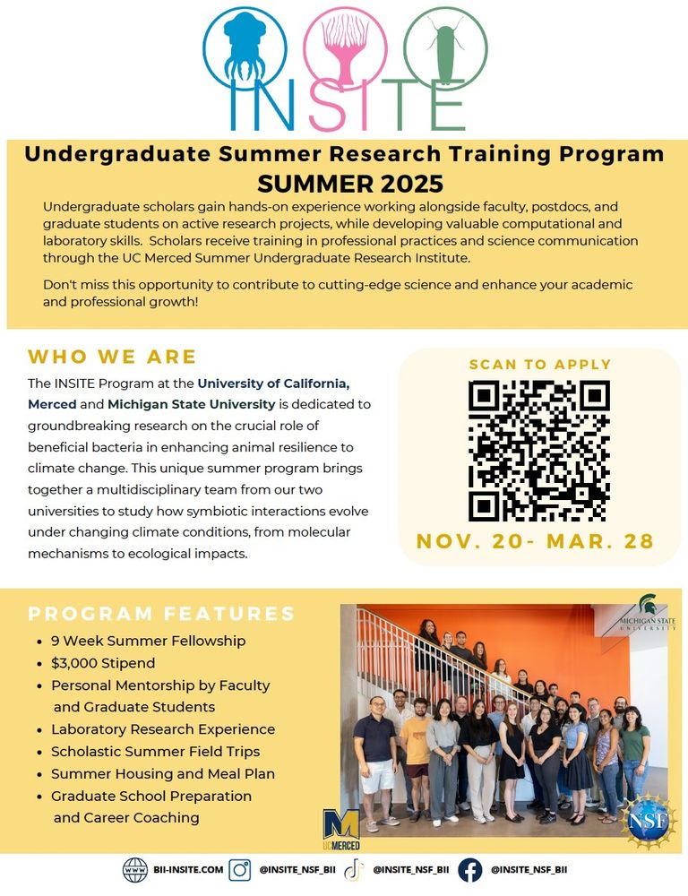 Flyer advertising summer INSITE program at UC Merced