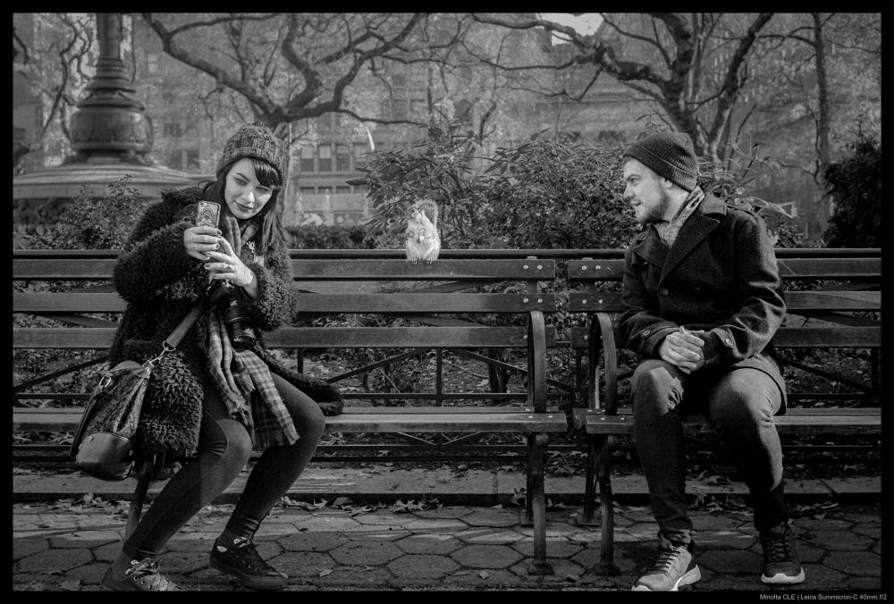 Two people sit on a bench on either side of a squirrel.  The woman on the left is taking a selfie with her phone.