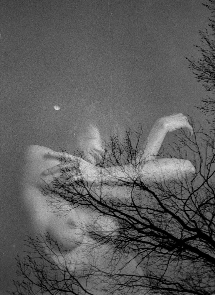 Analoge Doppelbelichtung. Nude Art. Die Äste eines Baumes und der Mond. Darin eine Frau.