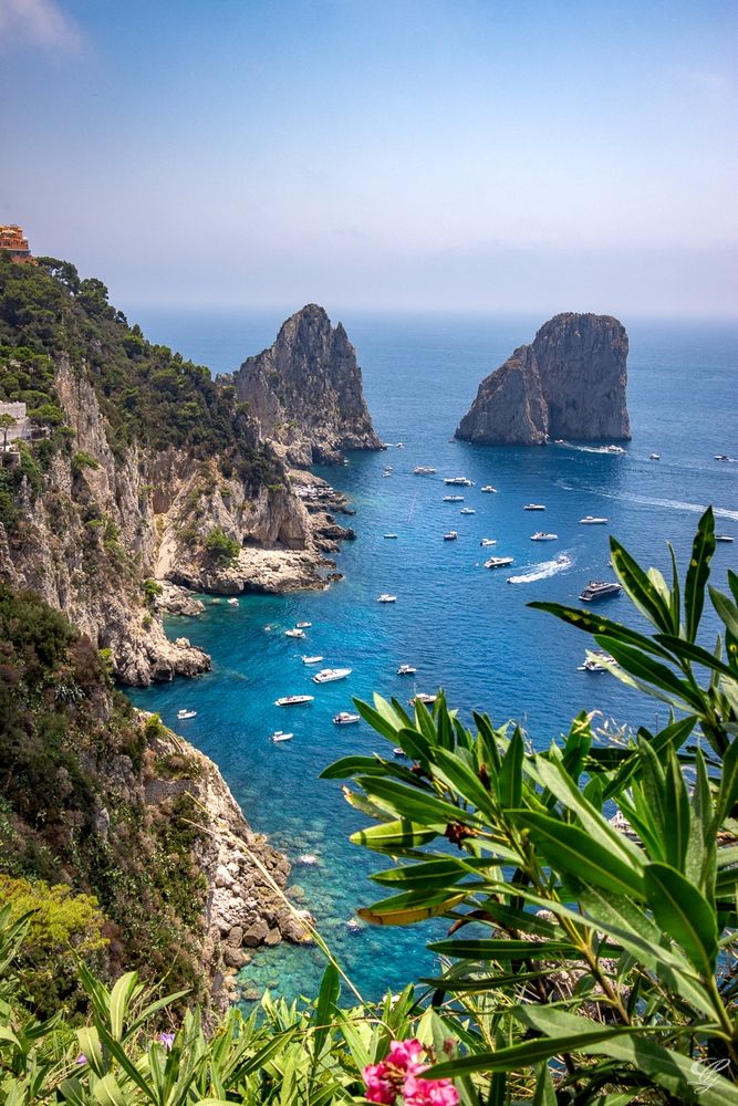 Photo showing a landscape composed of high cliffs diving into the ocean. In the distance, two rock formations can be seen emerging from the water. The ocean's color is a deep blue and it is dotted with small boats. Foreground made of green vegetation, including flowering Laurel. Watermark identifying photographer as Geneviève Laurin.