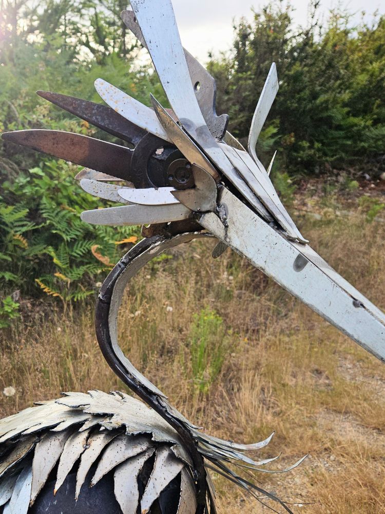 A close up of the heron's eye.