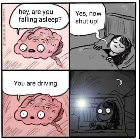 Comic of a brain asking, "hey, are you falling asleep?", a person in bed responding, "Yes, now shut up!", the brain replying, "You are driving." and the person suddenly snapping back to frightened wakefulness in their car.