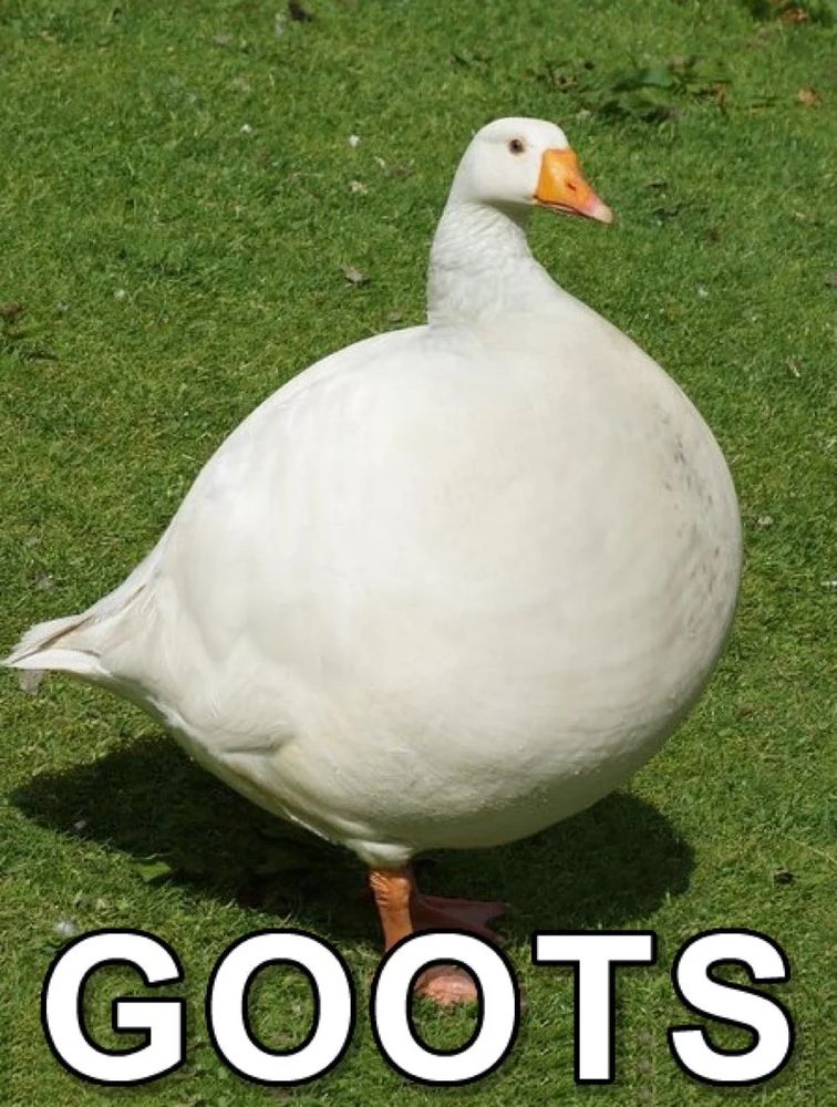 Comment image