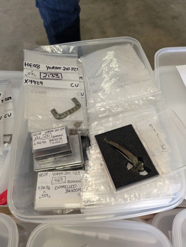 A box of archaeological finds in bags and small boxes. Most are not visible but a Roman copper alloy brooch and a medieval buckly fragment are visible.