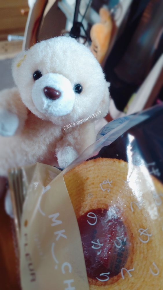 バームクーヘンと映るクマのぬいぐるみ