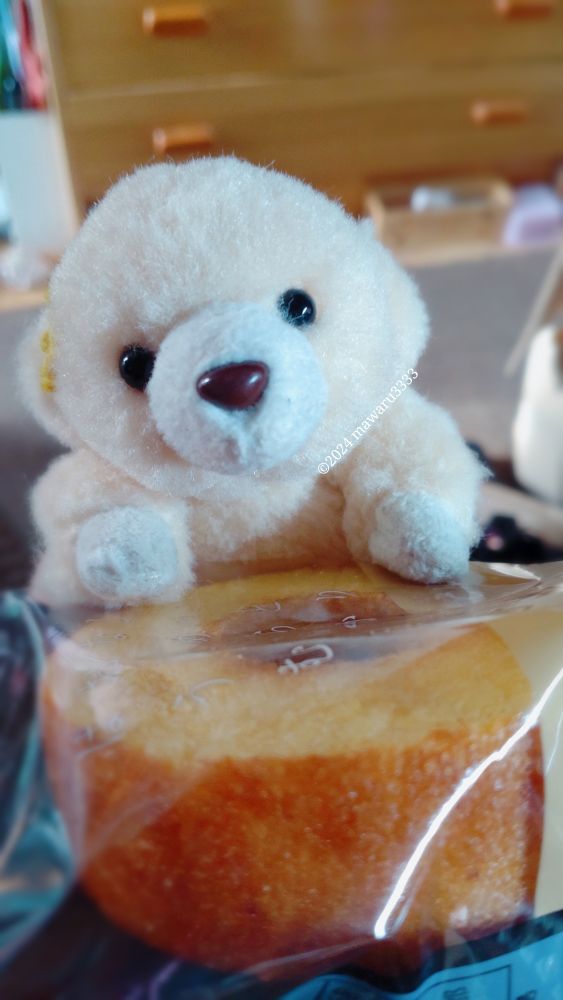 袋に入ったバームクーヘンを上半身のりかかるクマのぬいぐるみ