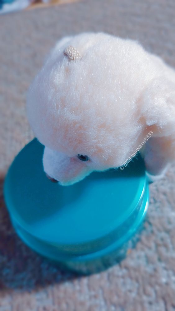 クリームのケース（楕円）に寄りかかるクマのぬいぐるみ