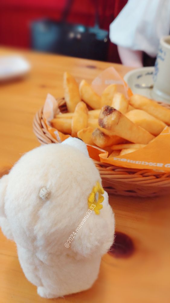 コメダ珈琲のフライドポテトを見るクマのぬいぐるみ（後ろ姿）