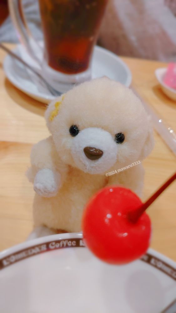さくらんぼを正面から見るクマのぬいぐるみ