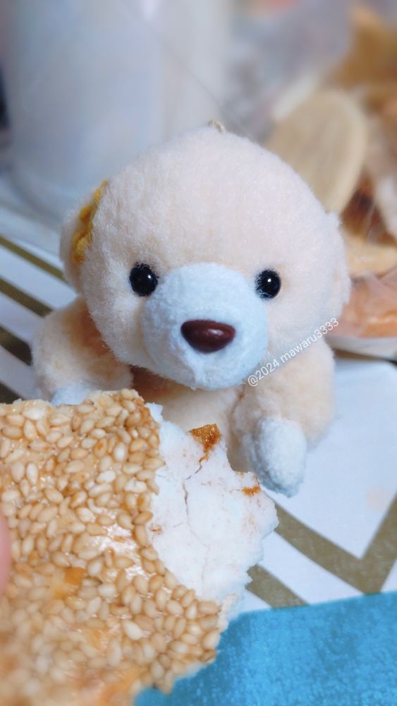 差し出されたごまの割れせんべいを見ずにカメラ目線なクマのぬいぐるみ（正面）