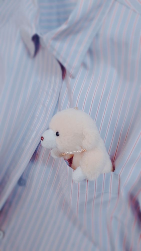 ワイシャツの胸ポケットに入るクマのぬいぐるみ（左向き）