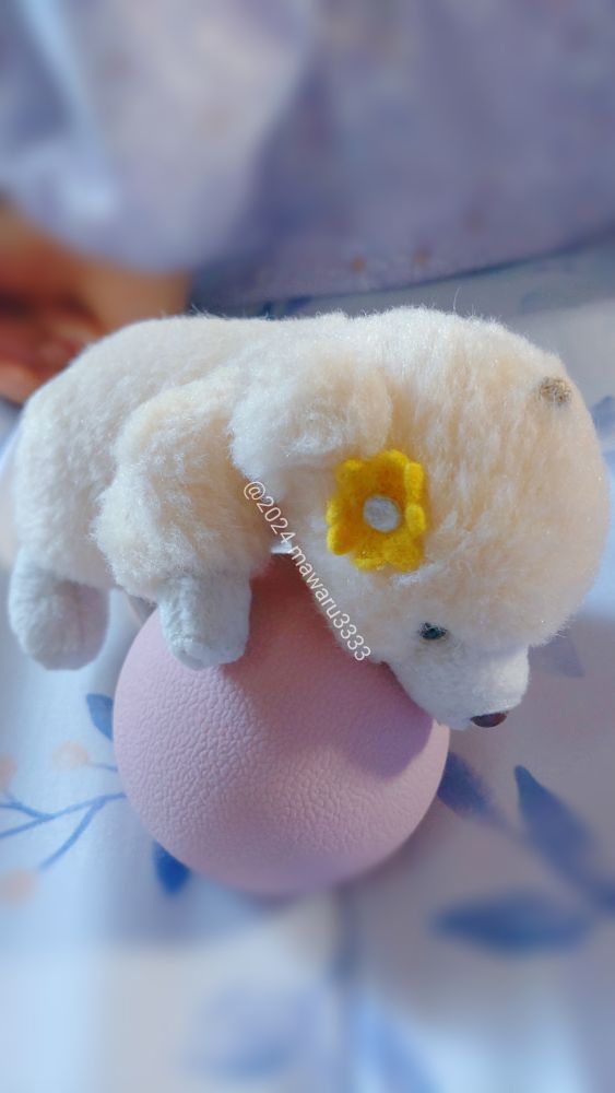 ストレッチボールに重心をかけて、乗っかるクマのぬいぐるみ（足を地面から浮かせる）