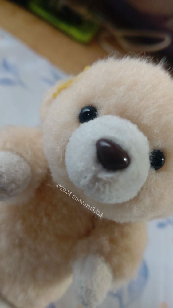 寝癖をカメラ目線で見せつけるクマのぬいぐるみ