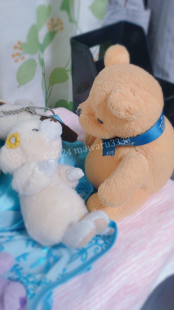 白いクマとオレンジ色のクマのぬいぐるみが向かい合っている