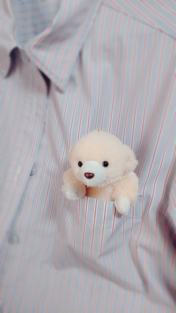 ワイシャツの胸ポケットに入るクマのぬいぐるみ（正面）